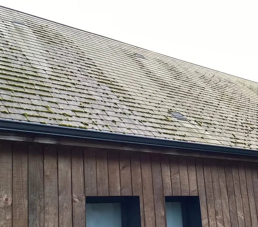 Avant intervention : Toiture en ardoises sur maison à bardage bois