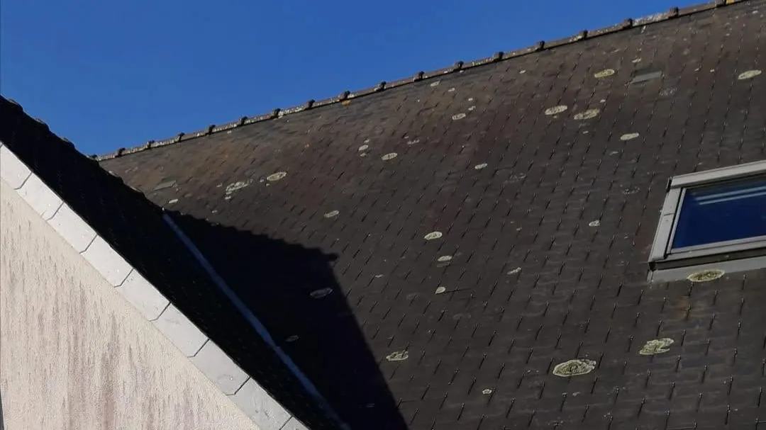 Toiture en ardoises démoussée à la main par Raulais Entrepreneur près de Nantes